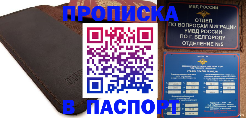 временная регистрация гарантия в Мончегорске